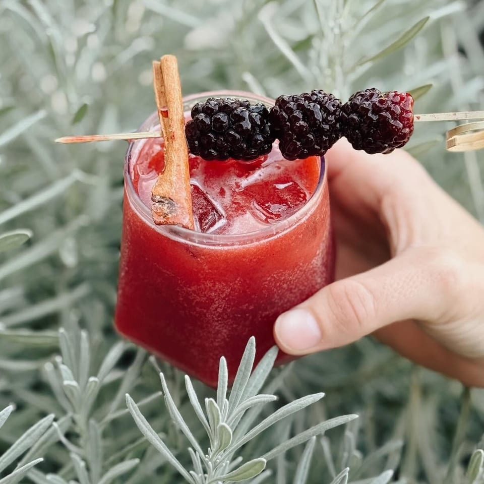 Hand holding a vibrant red cocktail garnished with blackberries and a cinnamon stick amidst green foliage.