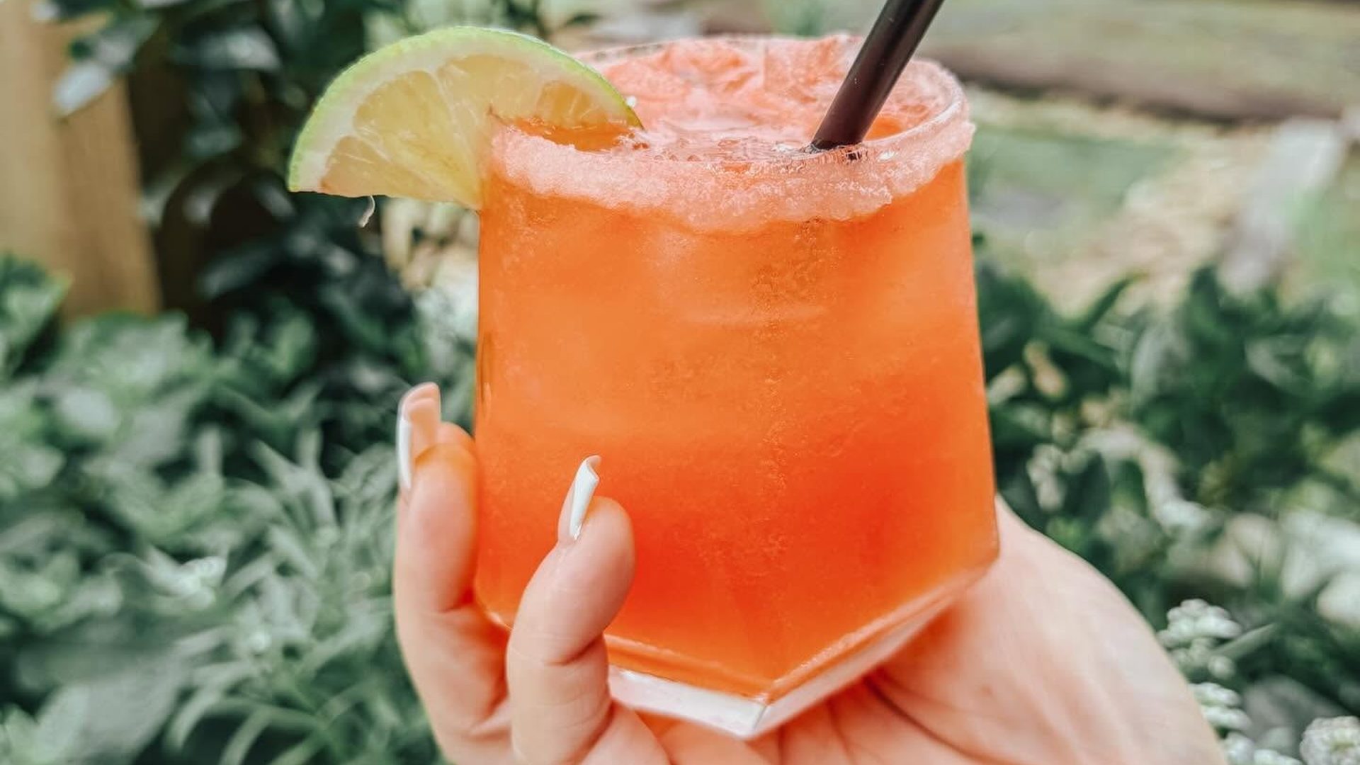 Raise a Glass
